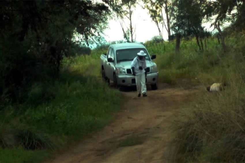 En este paraje encontró la muerte Gustavo Castañeda Ojeda