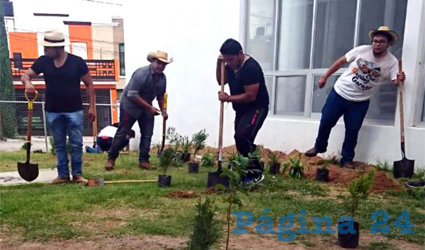 Alumnos de la UPA apoyaron en labores de reforestación de la Escuela “Compáz”