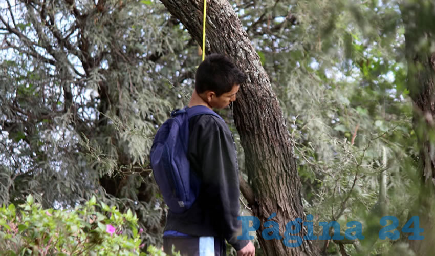Este desconocido se ahorc&oacute; en este &aacute;rbol de Granja La Victoria