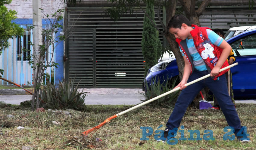 En la Capital se generan m&aacute;s de 650 toneladas de basura al d&iacute;a
