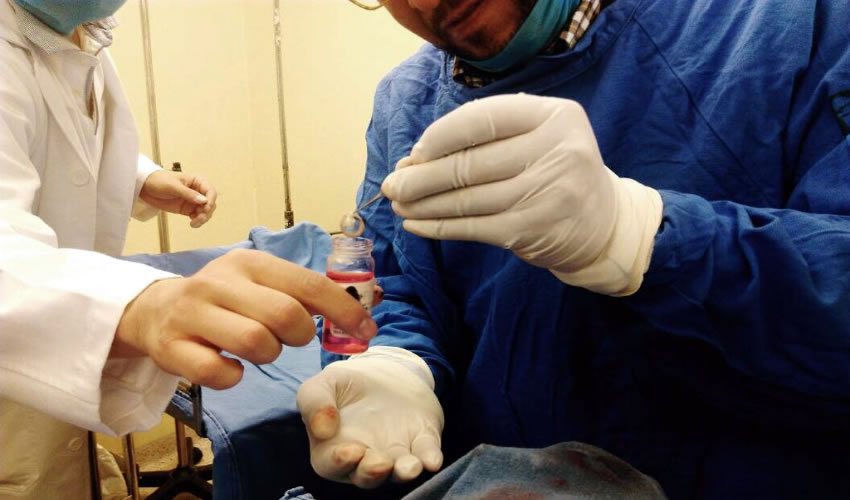 La lista pacientes en espera de un &oacute;rgano para recuperar su expectativa de vida, supera las 21 mil