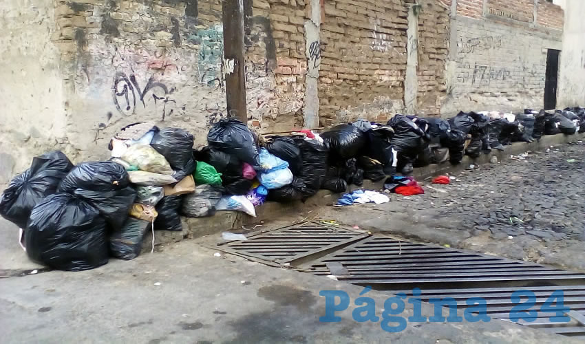 En los cruces de las calles Álvaro Obregón e Independencia, en pleno centro de la Cuna Alfarera, vecinos padecen una enorme cantidad de bolsas con desechos y animales muertos, lo que ha trastornado la vida de los vecinos/Fotos: Francisco Tapia