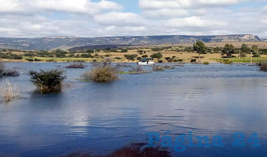 En esta zona de la presa fue hallado el cad&aacute;ver de J. Guadalupe Ch&aacute;vez S&aacute;nchez