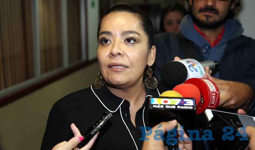 Elsa Amabel Land&iacute;n Olivares, legisladora local (Foto: Eddylberto Lu&eacute;vano Santill&aacute;n)