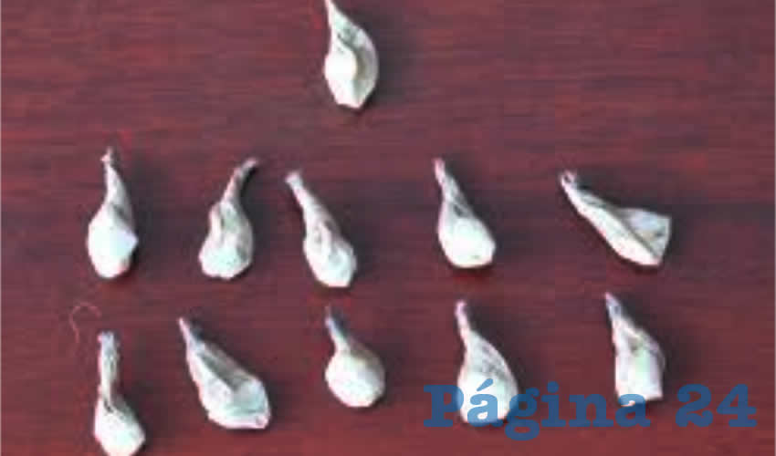 Las 11 dosis de &ldquo;crystal&rdquo; decomisadas