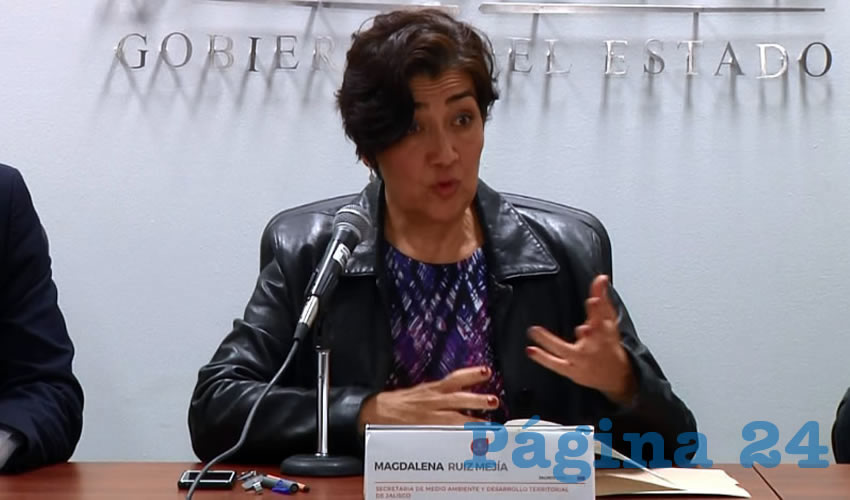 Luego de admitir la pésima calidad del aire que se padece en la ciudad, Magdalena Ruiz, titular de Medio Ambiente de Jalisco, dijo que en los últimos tiempos el sector salud ha gastado 6 mil millones de pesos en enfermedades cardiorrespiratorias relacionadas con ese fenómeno/Foto: Archivo Página 24
