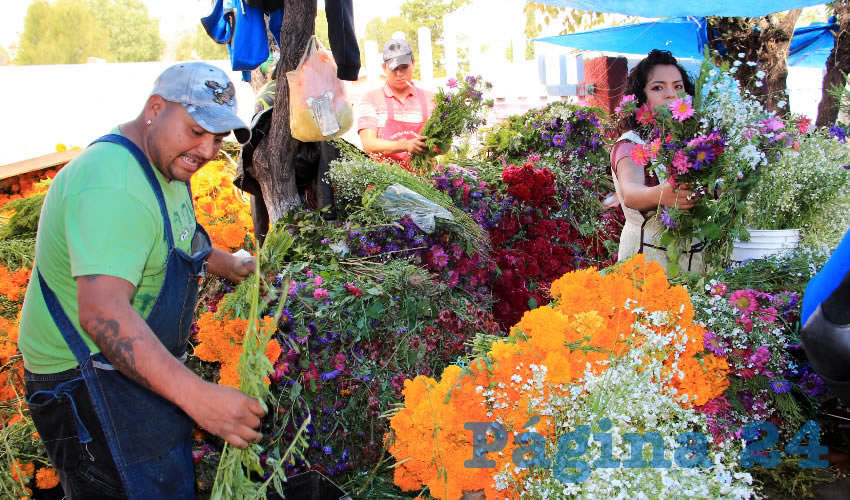 La flor de los 20 pétalos (Foto: Rocío Castro Alvarado)