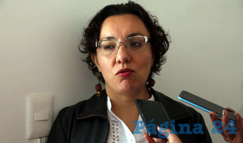 Cristina Ismene Gayt&aacute;n Hern&aacute;ndez, diputada federal del PRD (Foto: Eddylberto Lu&eacute;vano Santill&aacute;n)