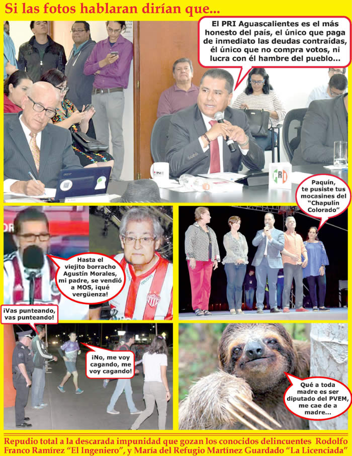 (Fotos: Archivo/P&aacute;gina 24)