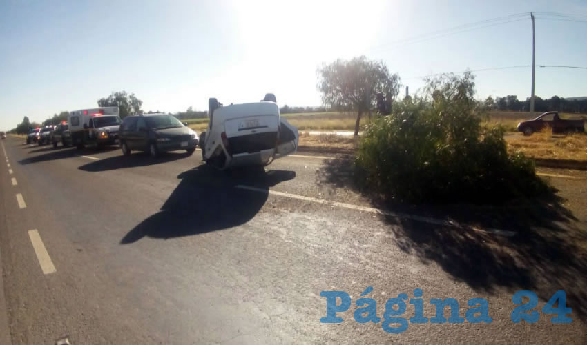 Griselda Romero Ortega derribó un árbol y luego volcó su vehículo, en la carretera federal 45 norte, en el municipio de Rincón de Romos