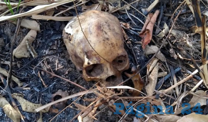 Habitante de La Zacatecana hizo el macabro descubrimiento (Foto: Ilustrativa)