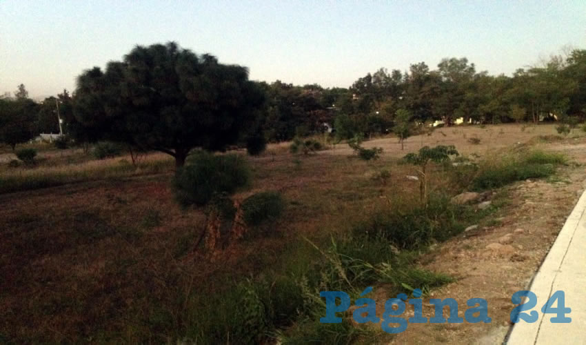 Decenas de vecinos de colonias aledañas a Arboledas Sur protestaron contra los repentinos cambios de suelo mandados por el alcalde Enrique Alfaro, quien pretende talar el bosque ubicado en el área para dar paso a torres departamentales: “No lo permitiremos”, tronaron/Fotos: Francisco Tapia 