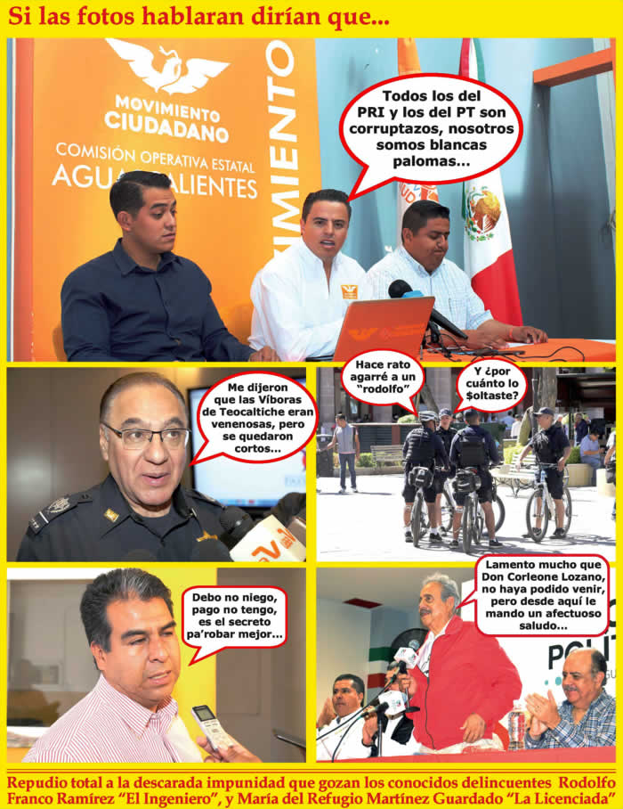 (Fotos: Archivo/P&aacute;gina 24)