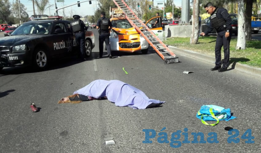 El conductor, empleado de Gigacable, aseguró que la mujer cruzó intempestivamente la arteria
