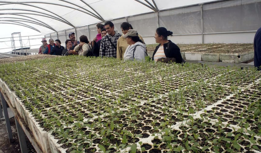 Los cuatro cursos tuvieron la participación de 55 personas pertenecientes a los municipios de Calvillo, San José de Gracia y Aguascalientes