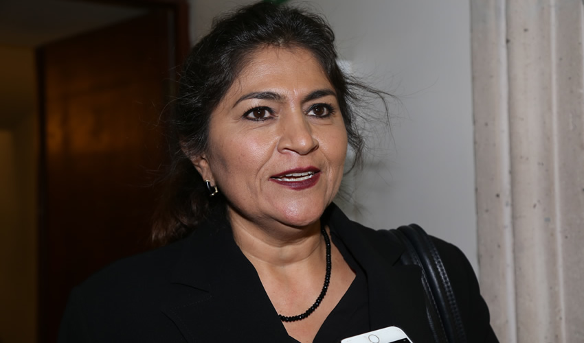 Nora Ruvalcaba Gámez, coordinadora estatal de Redes Sociales Progresistas a favor de AMLO