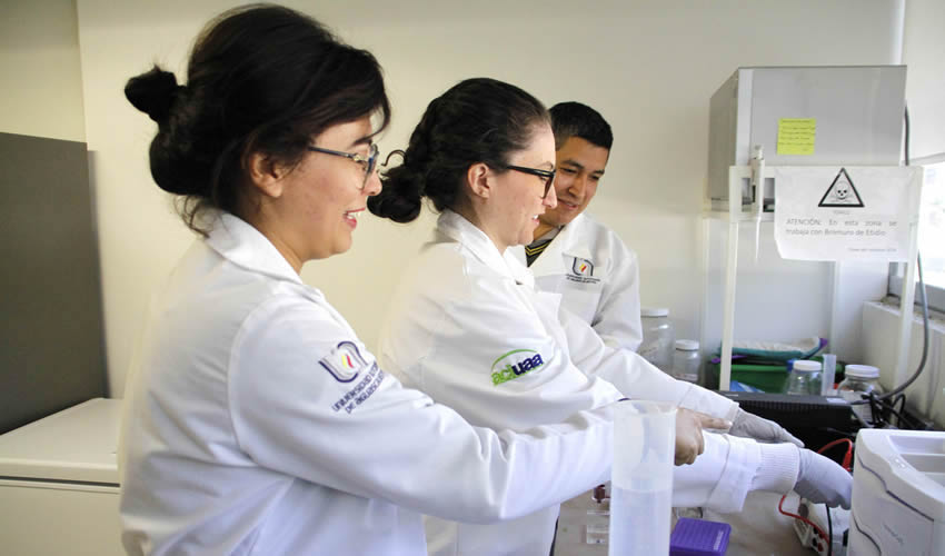 Opioides endógenos no producen tolerancia, por lo tanto, el usuario no se hace dependiente