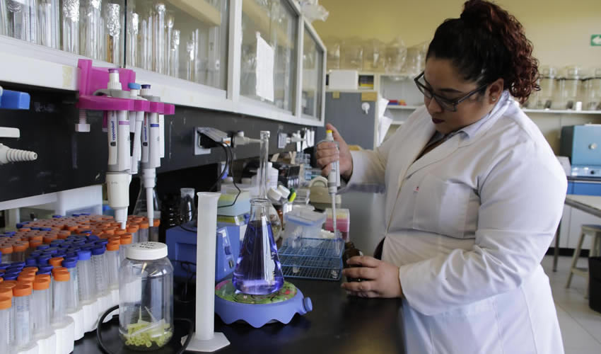 Se descubrió que quimioterapias con nanopartículas de dióxido de titanio reducen flujo sanguíneo renal, advirtiendo predisposición a insuficiencia renal