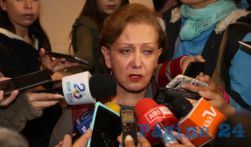 Irma Medrano Parada