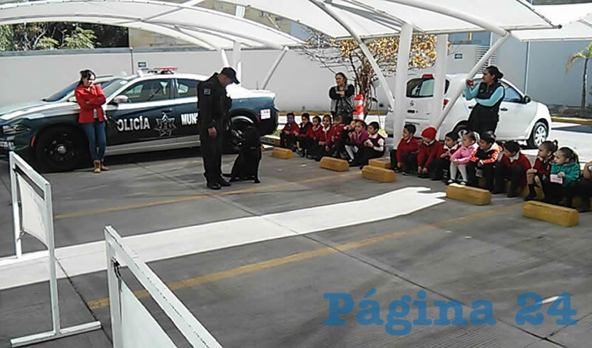 El programa es totalmente gratuito para los planteles