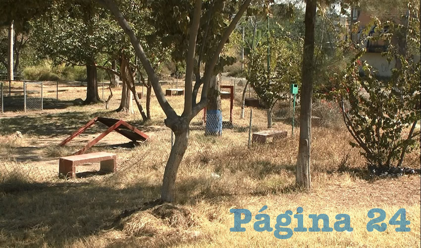 En uno de estos parques caninos, el de Loma Dorada en Tonalá –inaugurado hace dos años cinco meses– es ejemplo del olvido de las autoridades: la yerba crece por doquier y la malla ciclónica ha desaparecido en algunos tramos, mientras que muchos de los juegos tanto para humanos como para canes, se hallan en condiciones inutilizables/Fotos: Francisco Andalón López 