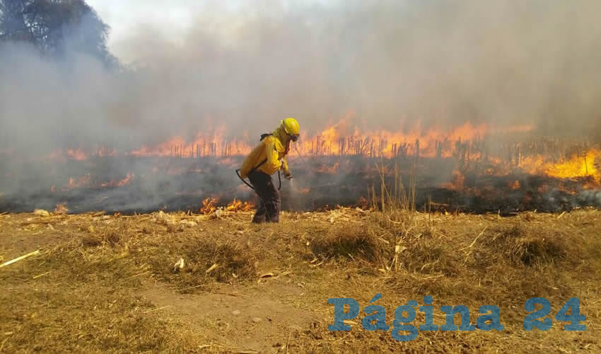 Prevén condiciones que favorecerán la probabilidad de incendios forestales de mayor intensidad y extensión
