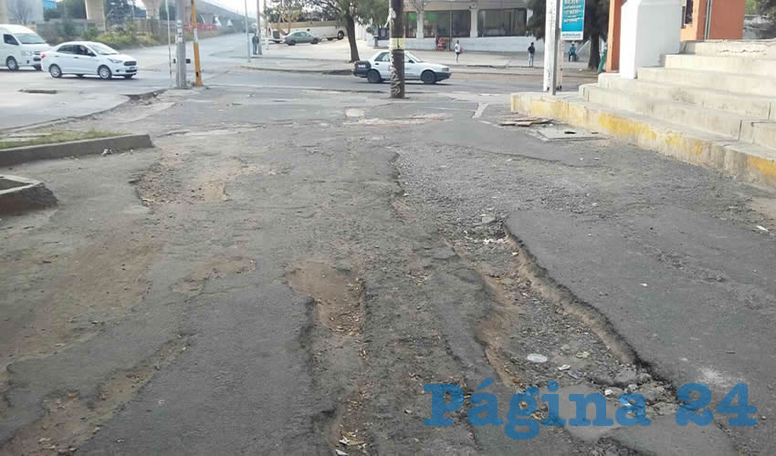 Foto: Francisco Tapia 