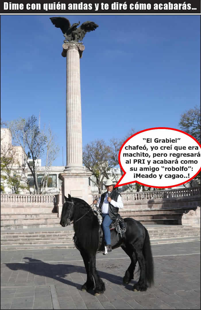 (Foto: Archivo/P&aacute;gina 24)
