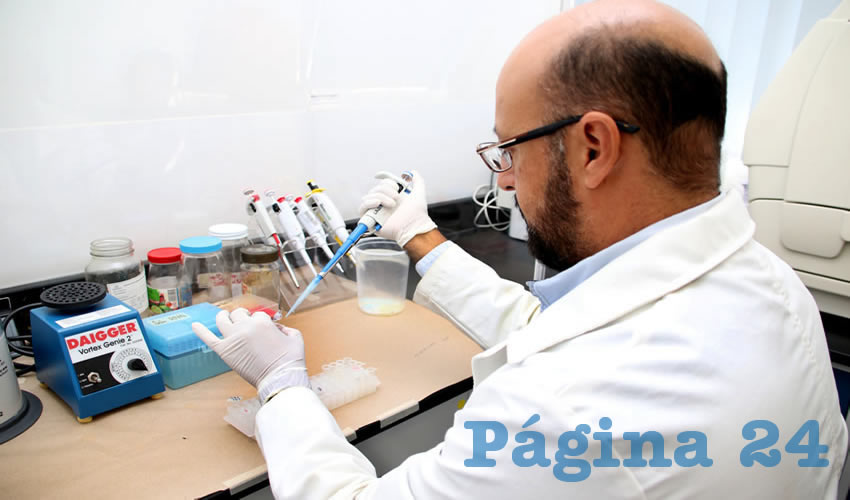 Bacteria Helicobacter pylori se asocia a diferentes tipos de gastritis, &uacute;lceras y c&aacute;ncer g&aacute;strico