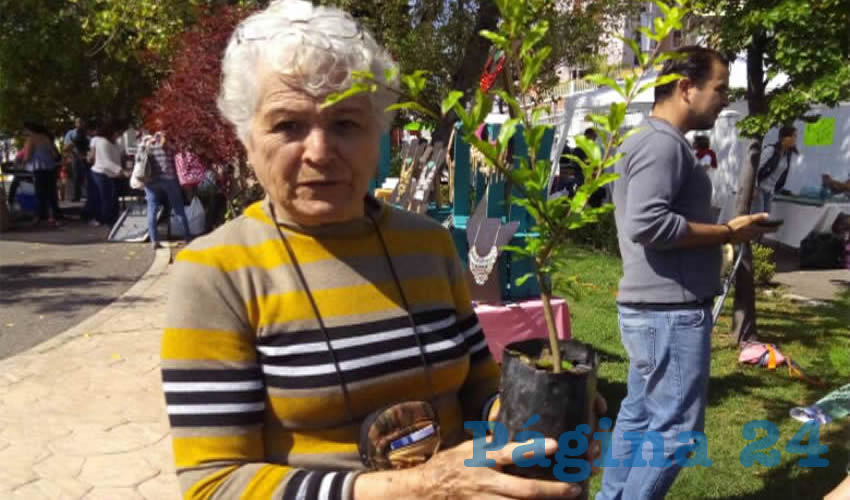 En un año, 147 mil árboles y plantas de ornato han sido otorgadas en adopción