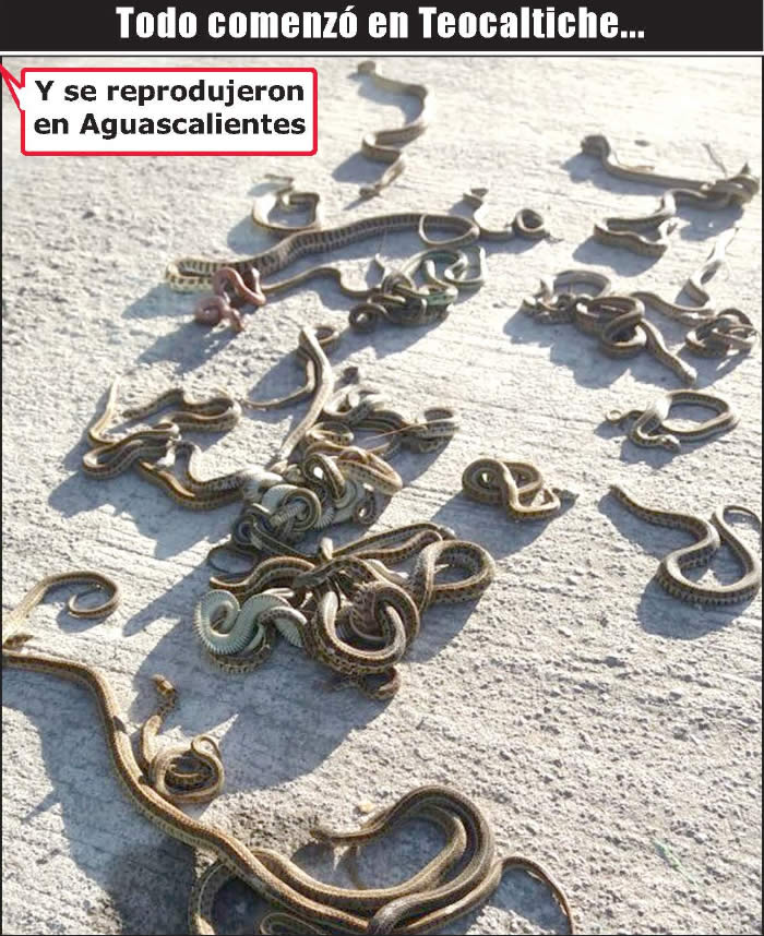 (Foto: Archivo/P&aacute;gina 24)