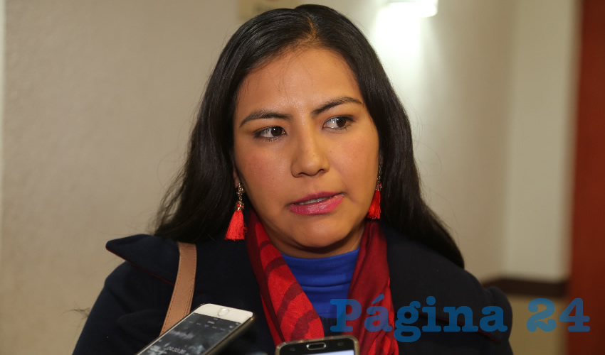 Guadalupe de Lira Beltr&aacute;n, legisladora local (Foto: Eddylberto Lu&eacute;vano Santill&aacute;n)