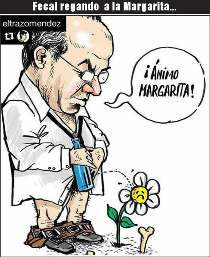 (Foto: Archivo/P&aacute;gina 24)