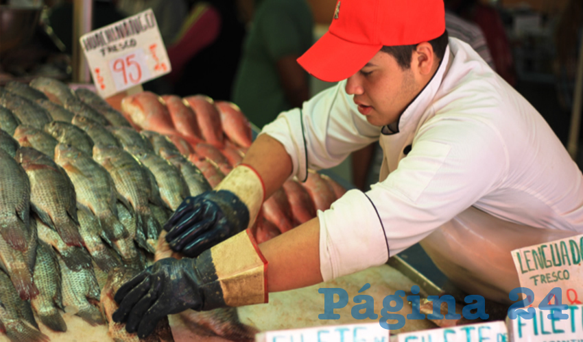 Conapesca estima que por venta al p&uacute;blico se comercializar&aacute;n m&aacute;s de 325 mil toneladas de productos pesqueros y acu&iacute;colas