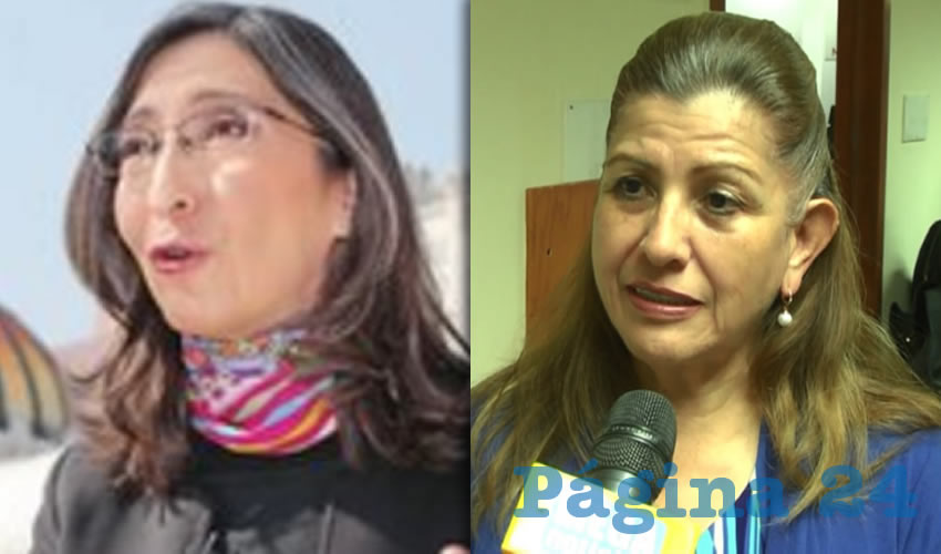 “Tenemos que acentuar las exigencias, las características y los compromisos de quienes se postulen” para suplir a Mara Robles en la Comisión de Selección del SEA, pues el hecho de que haya gente con intereses partidistas en el sistema socava la confianza ciudadana, dijo la diputada panista Pilar Pérez/Fotos: Archivo Agencias y Archivo Página 24 