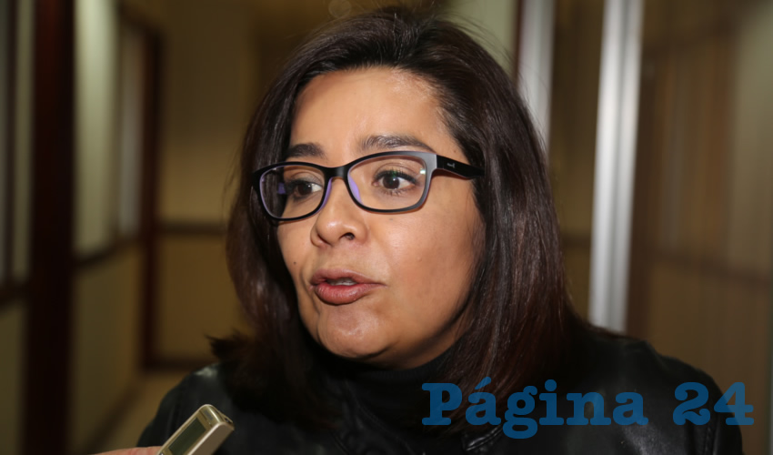 Elsa Amabel Land&iacute;n Olivares, legisladora local