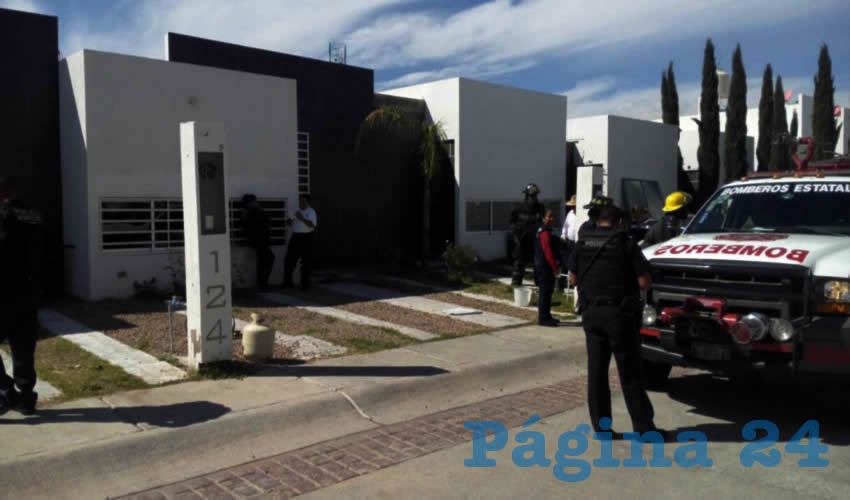 Bomberos estatales se encargaron de sofocar las llamas