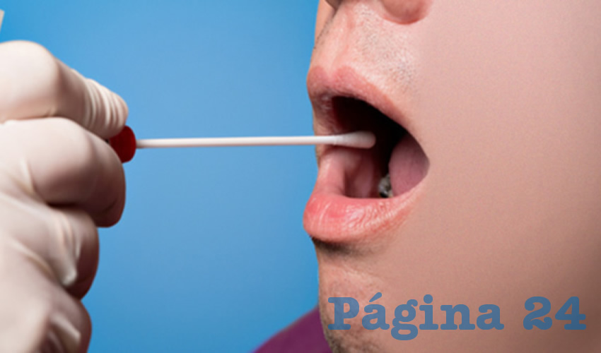 El buscar cierto tipo de proteínas en la saliva puede convertirse en una alternativa más práctica ante otras formas de detectar el cáncer oral, como pruebas de sangre o biopsias, métodos que pueden ser dolorosos y costosos para los pacientes, explicó Sandra López Verdín, especialista en odontología del Centro Universitario de Ciencias de la Salud (CUCS) de la UdeG/Foto: Cortesía