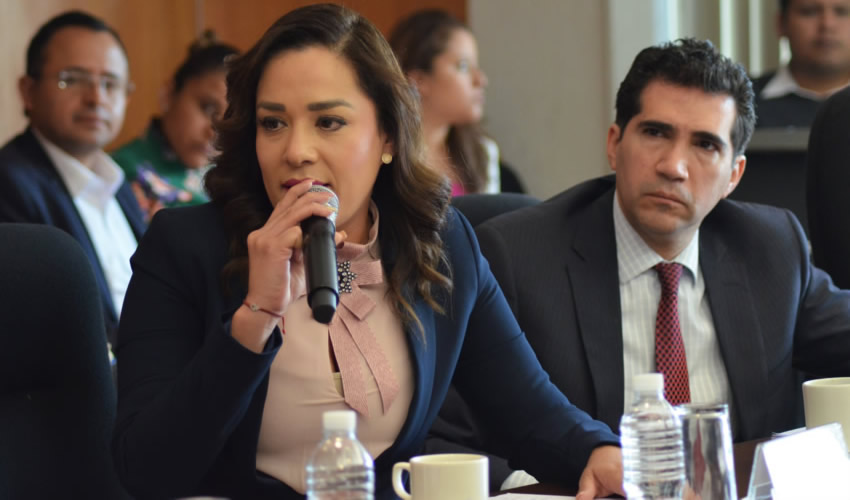 Arlette Muñoz Cervantes, diputada federal