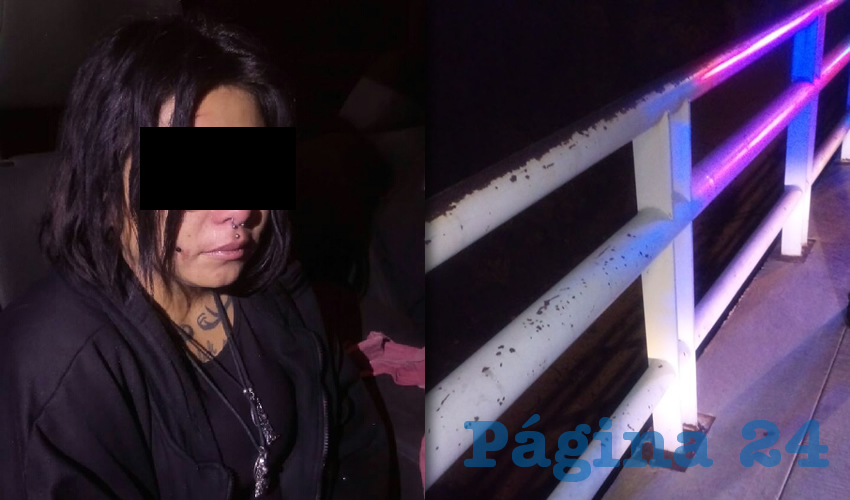 Rosa fue atrapada antes de que arrojara desde un puente