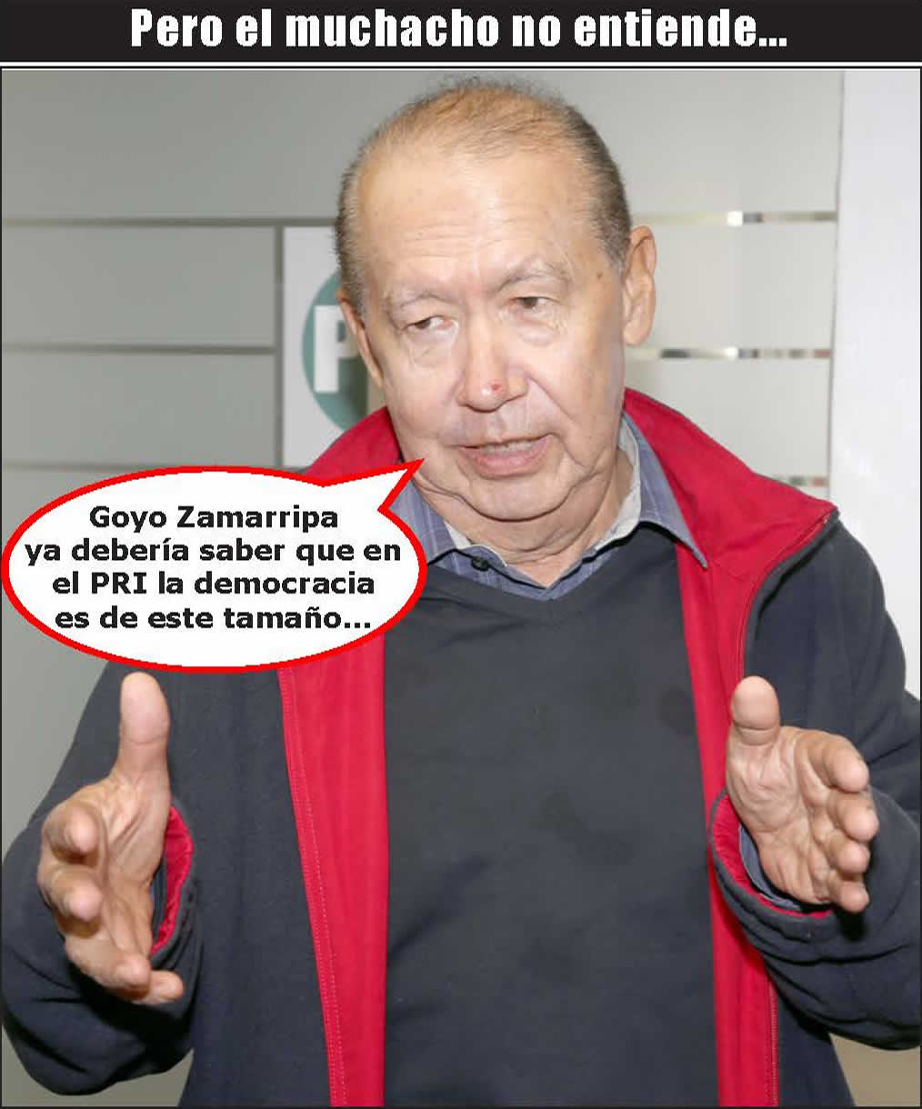 (Foto: Archivo/P&aacute;gina 24)
