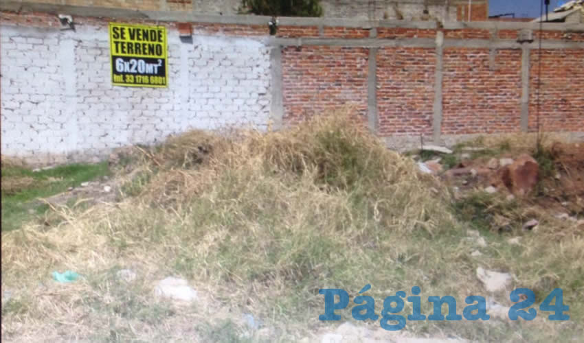 Lorena Valadez, una de las vecinas de Mesa de los Ocotes, indicó que en toda la colonia no hay un solo parque, una unidad deportiva o algún sitio donde los niños puedan jugar, por lo que deben jugar en calles de tierra, con el riesgo de ser atropellados/Fotos: Francisco Tapia 