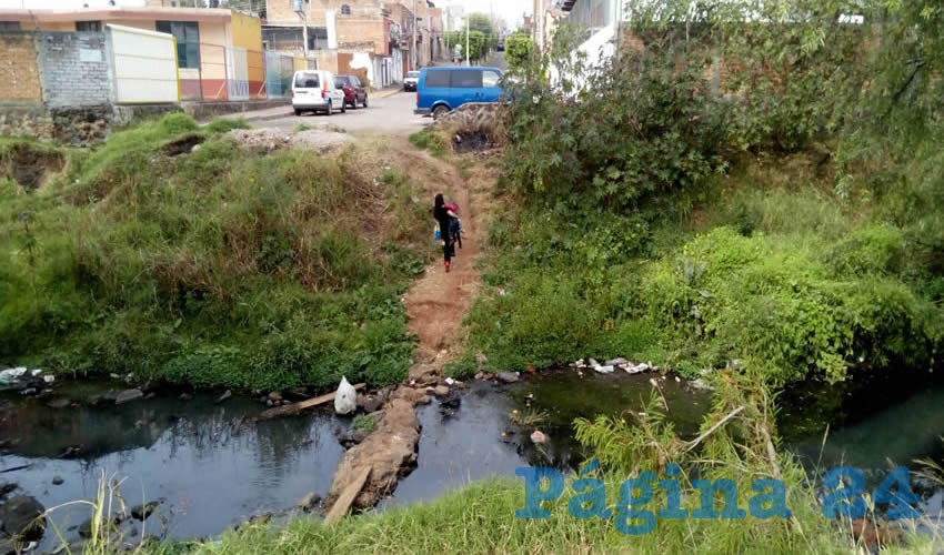 La UdeG encargará a alumnos del CUAAD la realización de proyectos para combatir la contaminación y contener los riesgos de inundaciones que se padecen en el río de Tepatitlán; las mejores propuestas se presentarán a especialistas de la zona y autoridades municipales para implementarlas lo más pronto posible/Fotos: Cortesía 