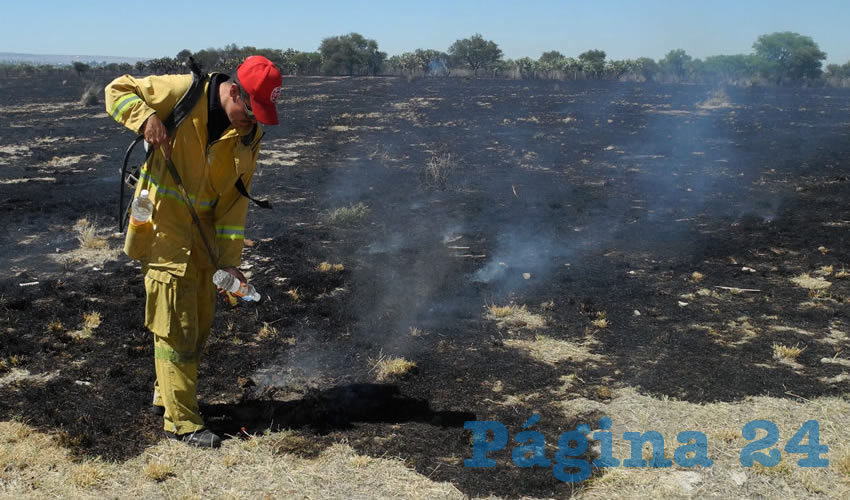 Las altas temperaturas que han comenzado a registrarse, la sequ&iacute;a y eventuales r&aacute;fagas de viento son factores comunes para que se se reciben reportes de manera permanente. presenten incendios