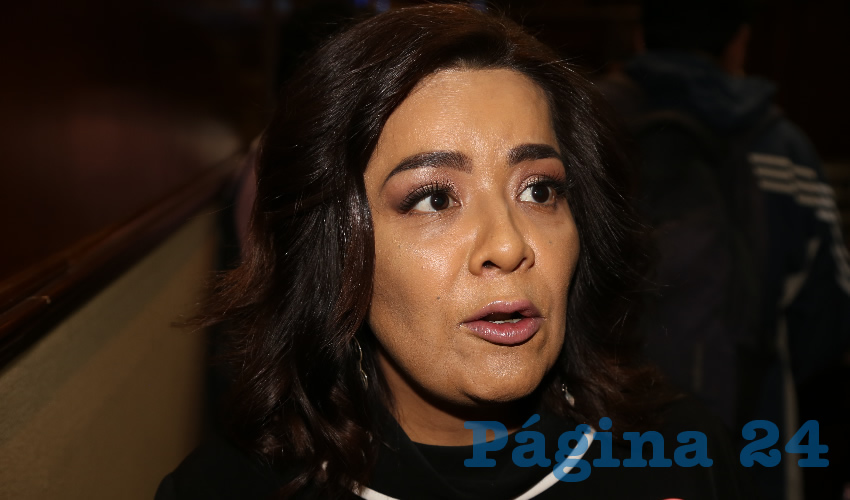 Elsa Amabel Land&iacute;n Olivares, legisladora local