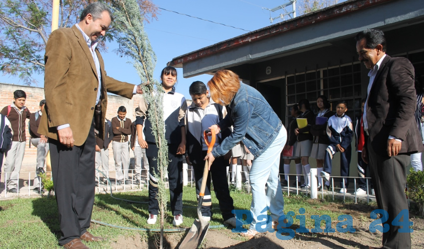 La Reforestación Escolar de Instituciones de Educación Básica, consiste en donar plantas y árboles a los planteles con el propósito de involucrar a los niños y adolescentes