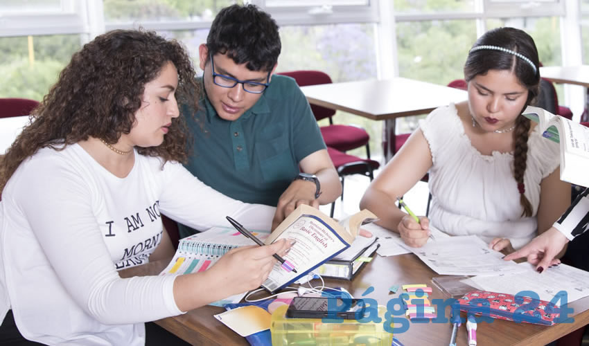 La docencia del inglés exige una amplia preparación, por lo que se pueden desempeñar en todos los niveles educativos