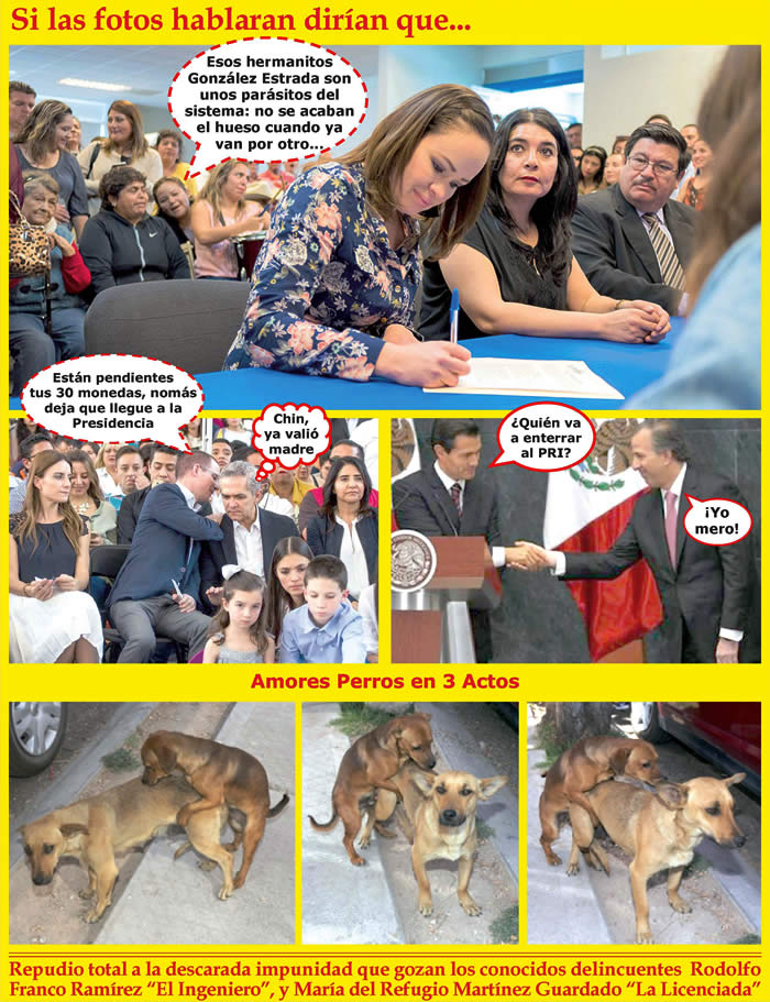 (Fotos: Archivo/P&aacute;gina 24)
