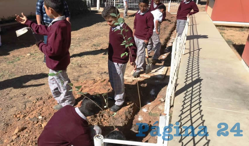 La Campaña de Reforestación en Instituciones de Educación Básica, tienen como objetivo hacer partícipe a la comunidad educativa en las tareas de cuidado