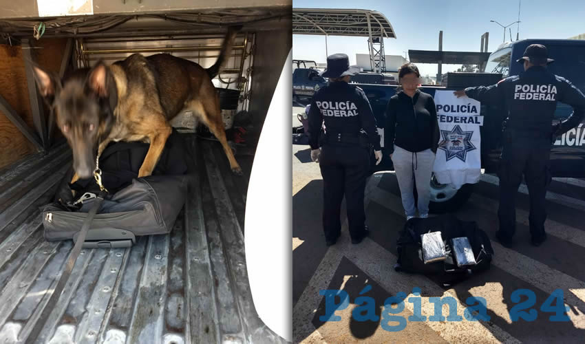 Jazm&iacute;n, de 32 a&ntilde;os, y el perro que descubri&oacute; la droga